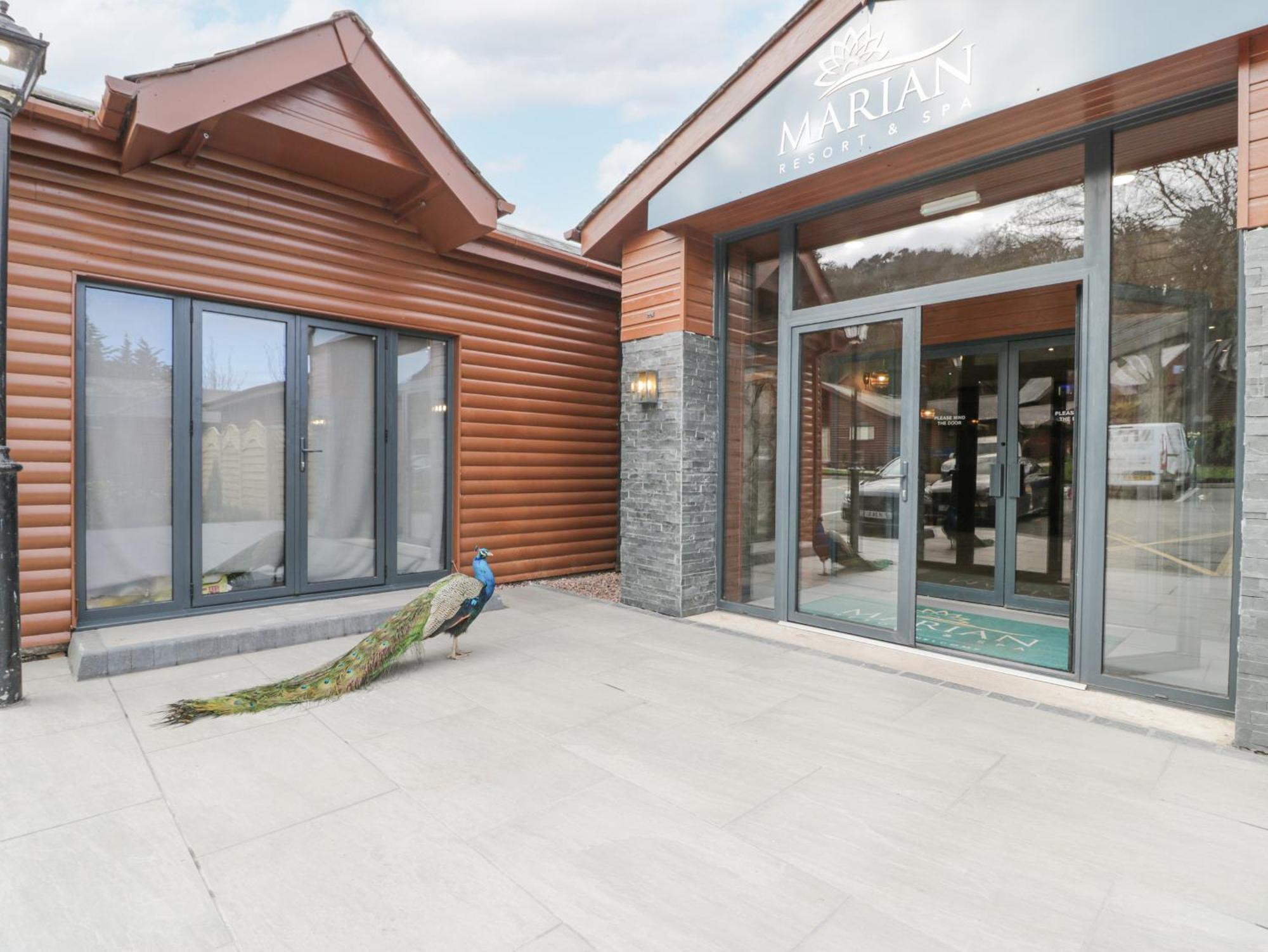 Luxury Lodge 62 Ріл Екстер'єр фото